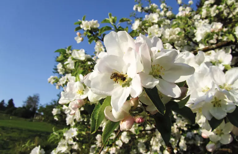 623782_original_R_K_B_by_Rosemarie Doll_pixelio.de.jpg